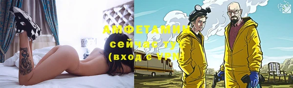 сатива Богданович