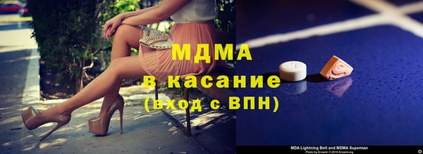 прущие грибы Бронницы