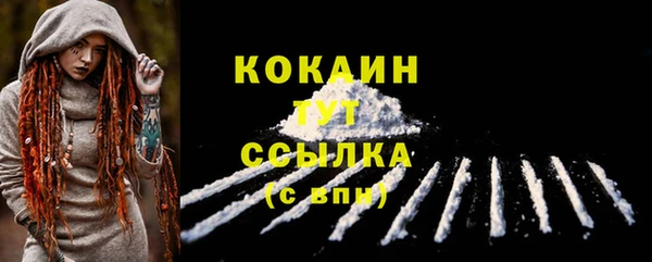 прущие грибы Бронницы