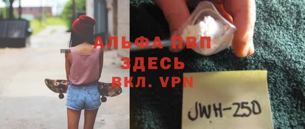 прущие грибы Богородицк