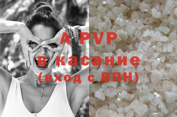 сатива Богданович