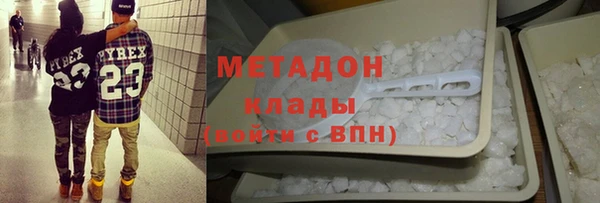 прущие грибы Бронницы