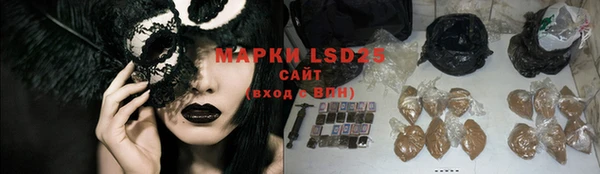 прущие грибы Бронницы