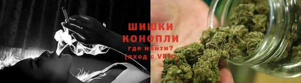 прущие грибы Бронницы