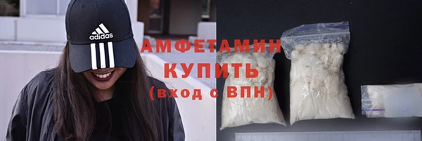 сатива Богданович