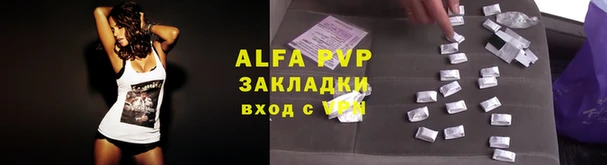 прущие грибы Богородицк