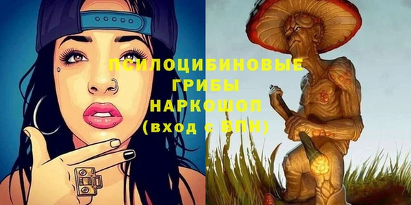 прущие грибы Бронницы
