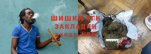 сатива Богданович