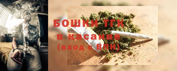 прущие грибы Богородицк