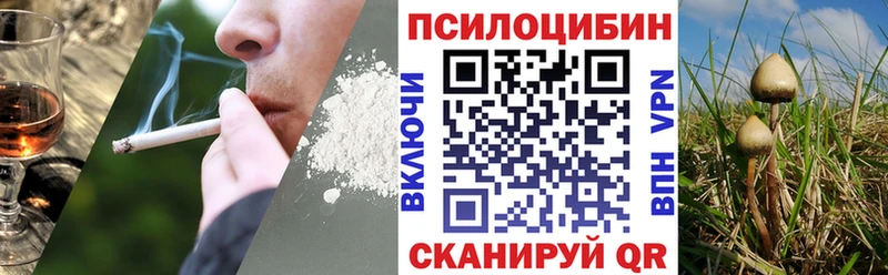 Псилоцибиновые грибы GOLDEN TEACHER  Купить где  Островной 