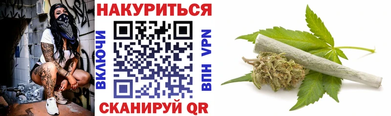Конопля сатива  Купить  Островной 